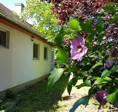 - A Little House In The Siófok