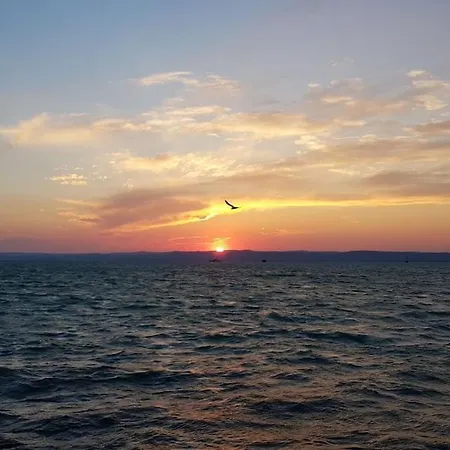 - A Little House In The Siófok